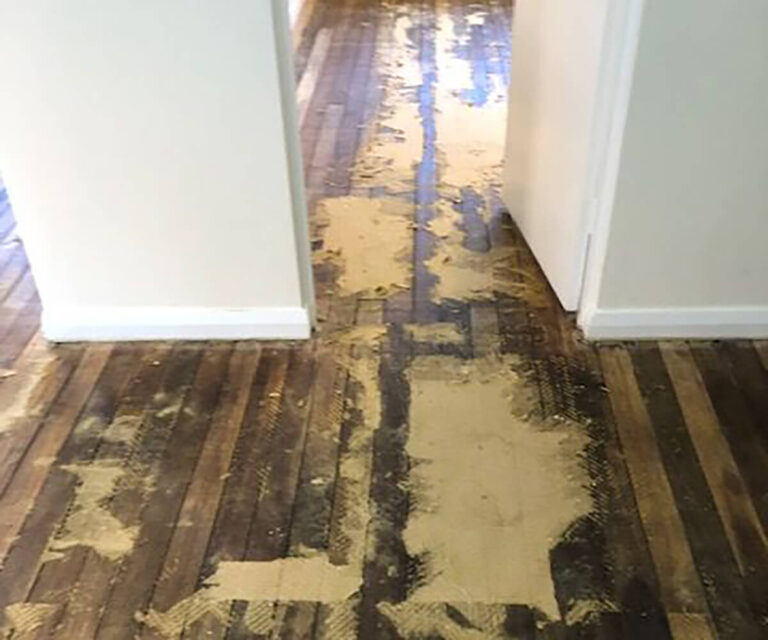 floor sanding and polishing sydney