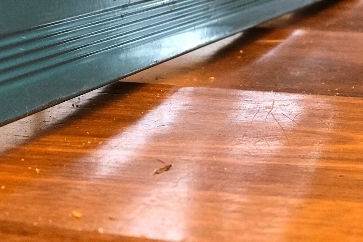 Closeup of damaged floorboards